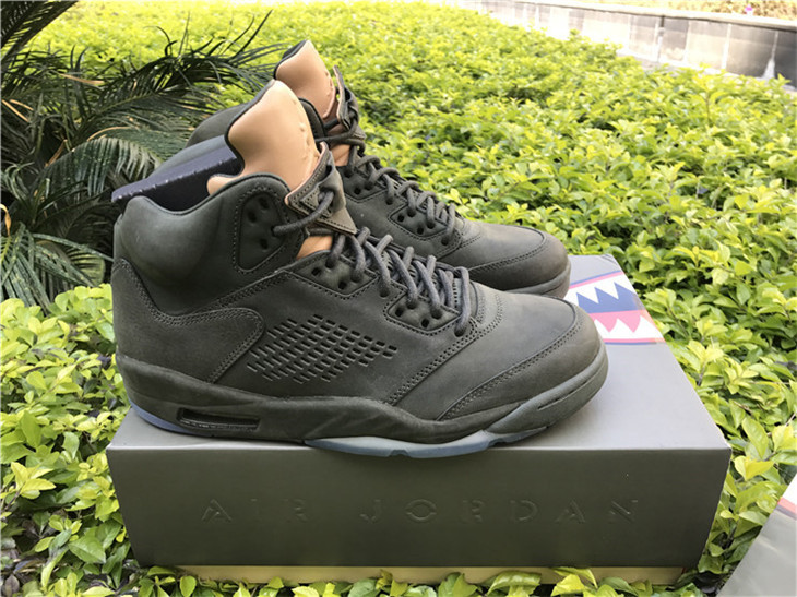 Air Jordan 5 Take Flight Shoes